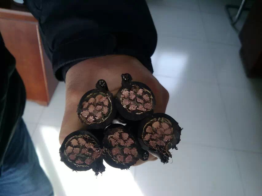漆包線(xiàn)電纜